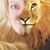 Stacy Vandever Parks's profile image