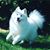 Monica Rowell's profile image