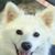 Annie Foster's profile image