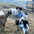Melinda Lee's profile image