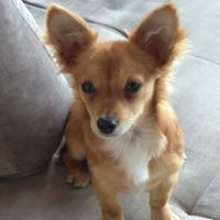 Vicki Werby's profile image