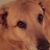 Susan MacKay's profile image