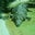 Heath Stone's profile image