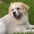 Regina Batts's profile image