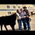 AJ N Sara Jakubik's profile image