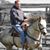 Jason Hollingsworth's profile image
