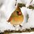 Stephanie Hobbs's profile image