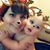 Jenna Brickel's profile image