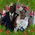 Lillian Harrison-Brown's profile image