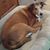 Patty Sprague's profile image