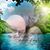 Tammy Harter's profile image
