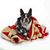 Christopher Chip Ritenour's profile image