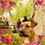 Jennifer Martinez's profile image
