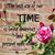 Meredith Patranese Terry's profile image