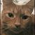 Paula Brown's profile image