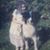 Judy Double's profile image