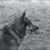 Mary Bennett-Meyer's profile image