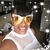 Dee-Dee Love Stephenson's profile image
