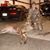 Whitney Clark Whittington's profile image