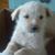 Nancy Jacques Barratt's profile image