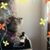 Candy Weiler Crawford's profile image