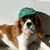 Jane Taylor Hall's profile image