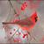 Sue Andreassi's profile image