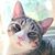Marie-Faye Quillen's profile image