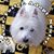 Jeanne Wynne Harrison's profile image