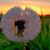 Janet S Endris's profile image