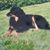 Ingela Perry's profile image