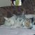 Darlene Crowson's profile image