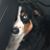 Antha Ward's profile image