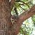 Mary Lacas Smith's profile image