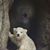 Arlette Wilkins Earley's profile image