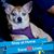 Debra Nickerson's profile image