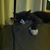 William Roberts's profile image