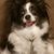 Julie Dowd's profile image