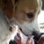 Helen Myllykangas's profile image