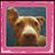 Kelli Easley's profile image