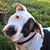 Suzette Castro's profile image