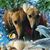 Judy Pellerin Anderson's profile image