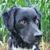 Sharon Sears Jacobsen's profile image