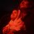 Patricia Moody's profile image