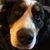 Karen Holder Marty's profile image