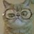Nyte N Dk's profile image