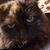 Cassandra Lynn Baker's profile image