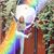 Jordan Elaine Goolsby's profile image
