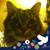Dori Hagness's profile image