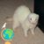 Mary Pat Caruso's profile image